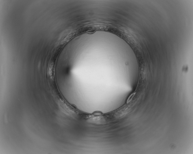 X0000089930185200707201848