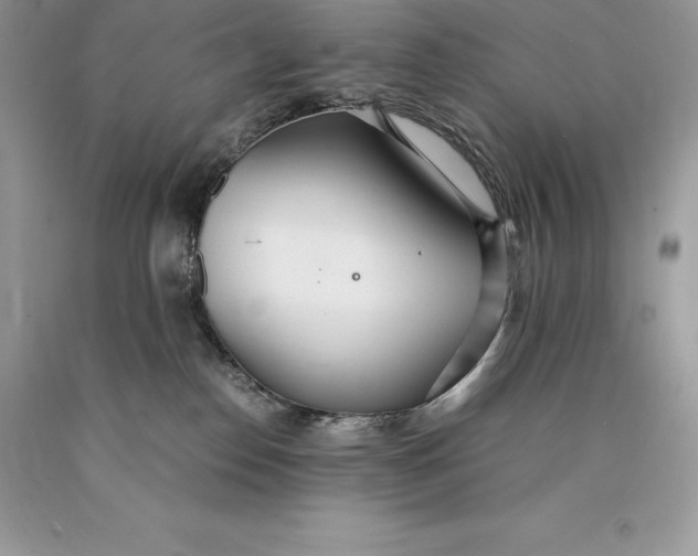 X0000089930186200707201848