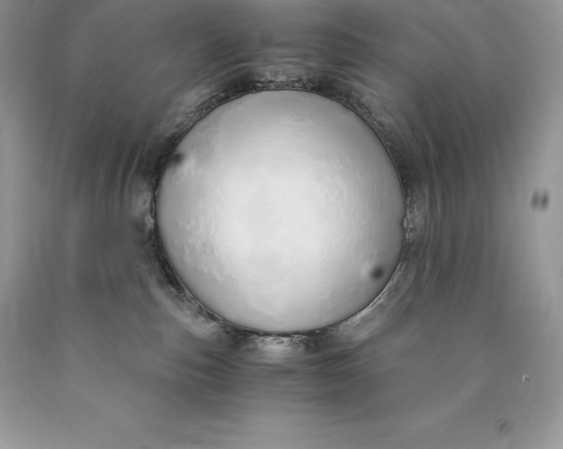 X0000089930187200707201848