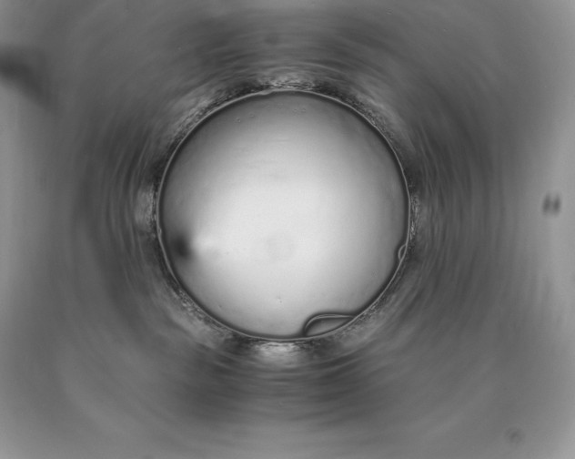 X0000089930189200707201848