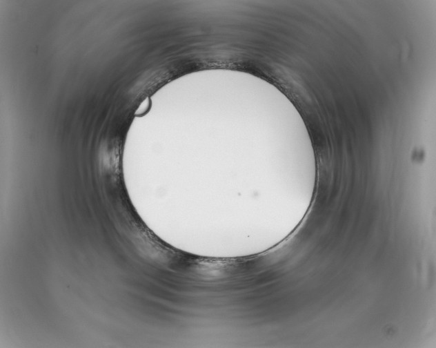 X0000089930190200707201848