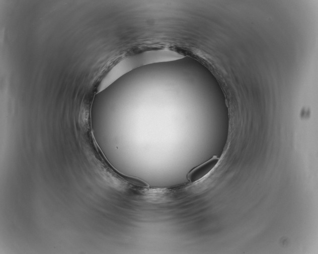 X0000089930192200707201848