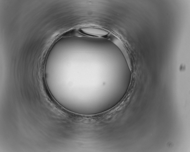 X0000089930193200707201848