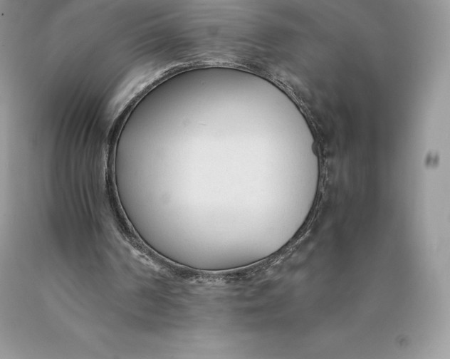 X0000089930194200707201848