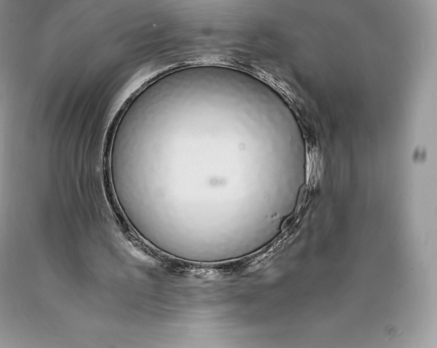 X0000089930195200707201848