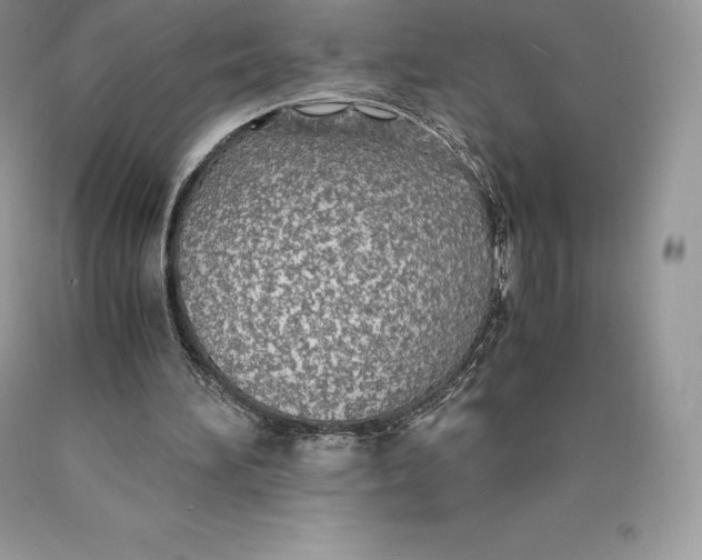 X0000089930196200707201848