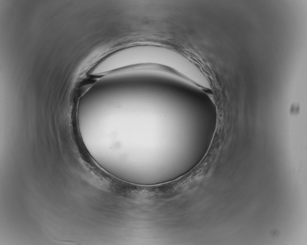 X0000089930197200707201848