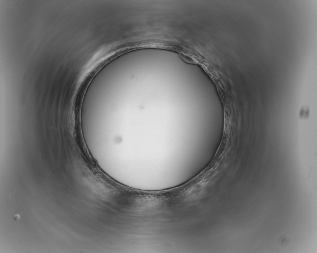 X0000089930198200707201848