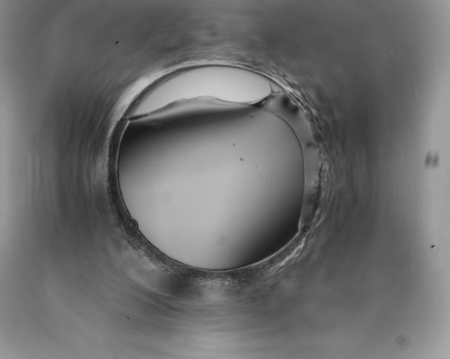 X0000089930200200707201847