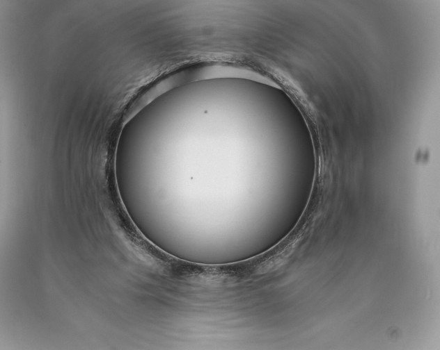 X0000089930201200707201847