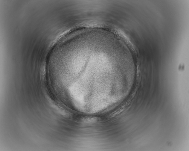 X0000089930202200707201847