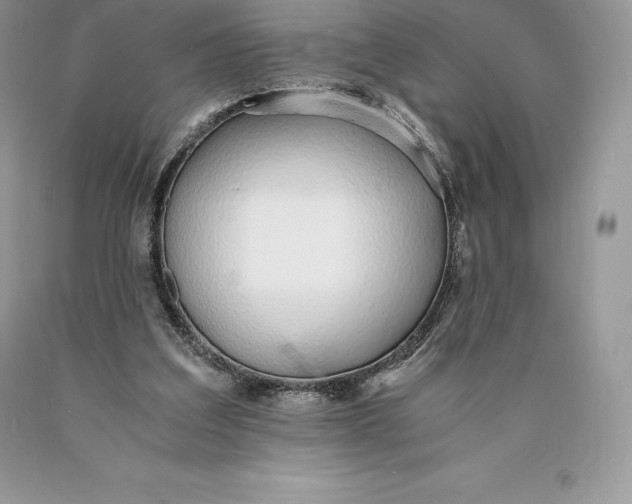 X0000089930203200707201847