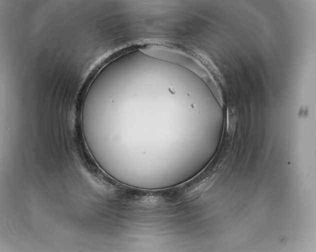 X0000089930204200707201847