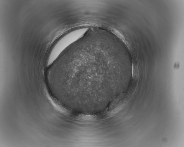 X0000089930205200707201847