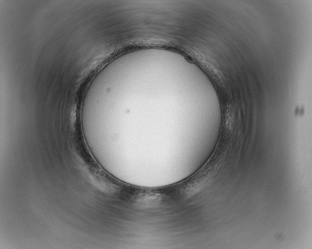 X0000089930206200707201847