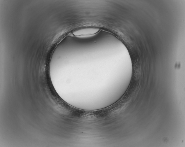 X0000089930207200707201847