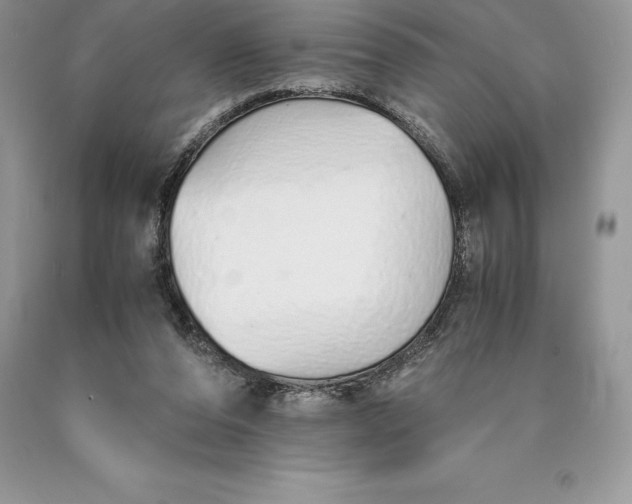 X0000089930208200707201847