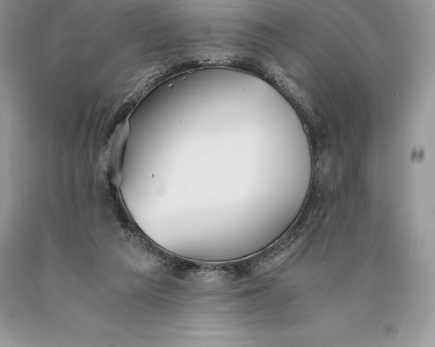 X0000089930209200707201847