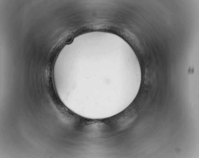 X0000089930210200707201847