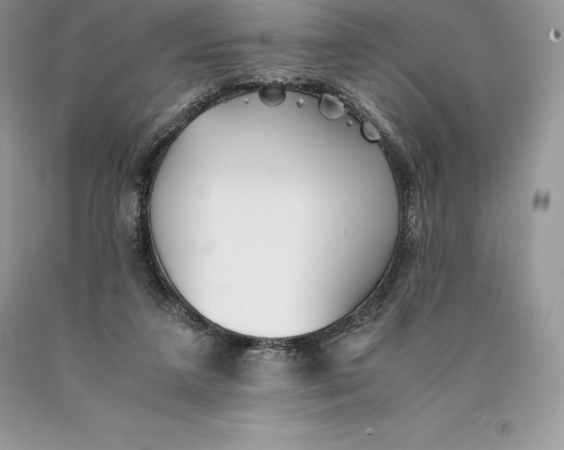 X0000089930211200707201847