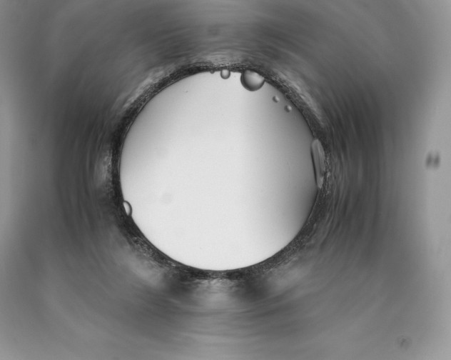 X0000089930212200707201847