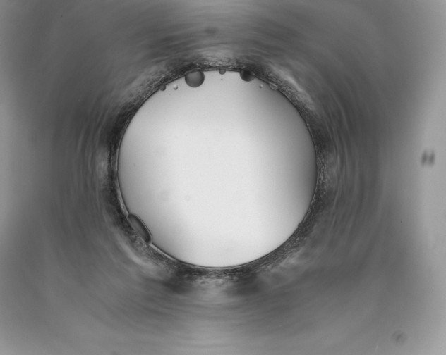 X0000089930213200707201847