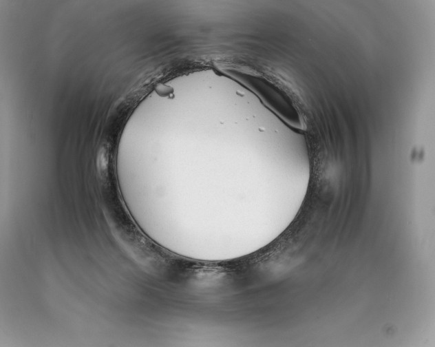 X0000089930214200707201847