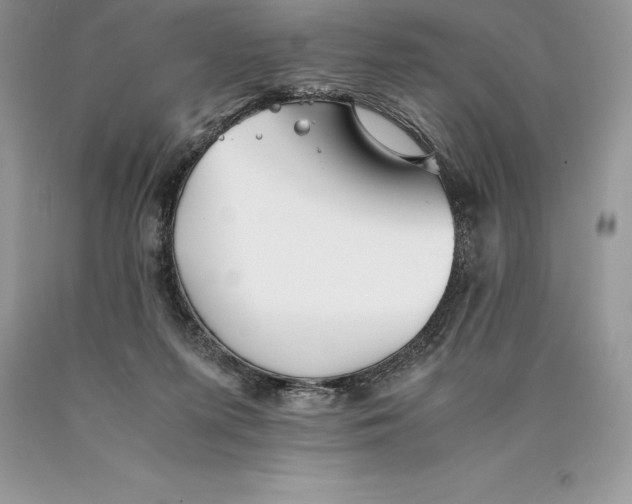 X0000089930215200707201847