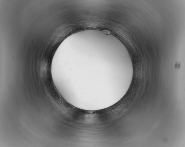 X0000089930216200707201847