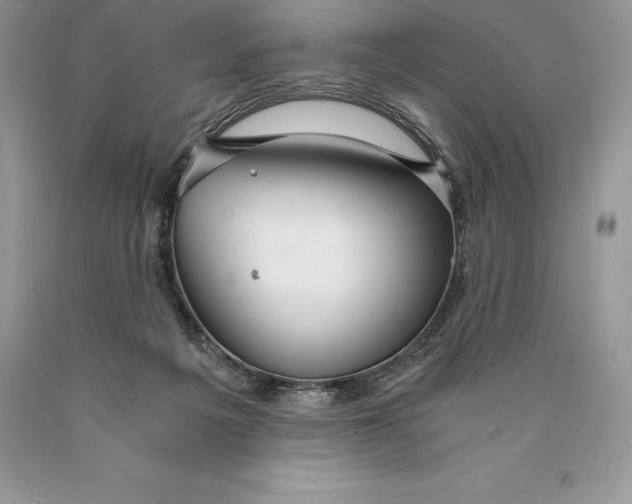 X0000089930217200707201847