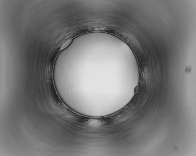 X0000089930218200707201847