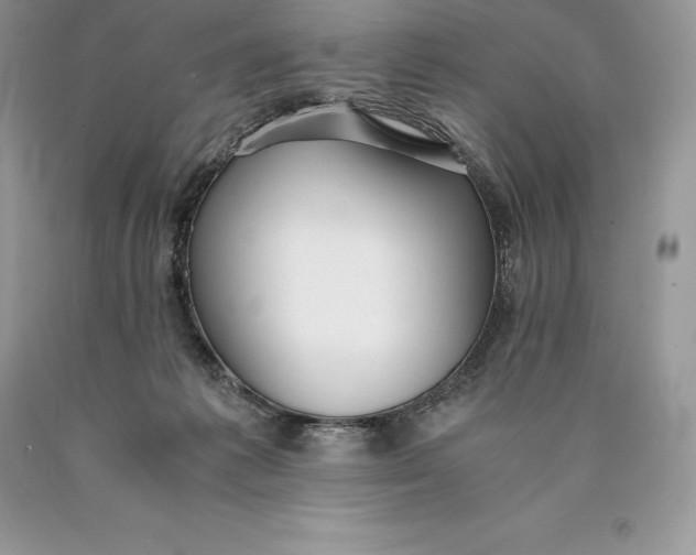 X0000089930221200707201847