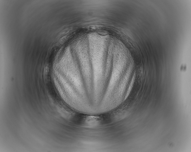 X0000089930222200707201847