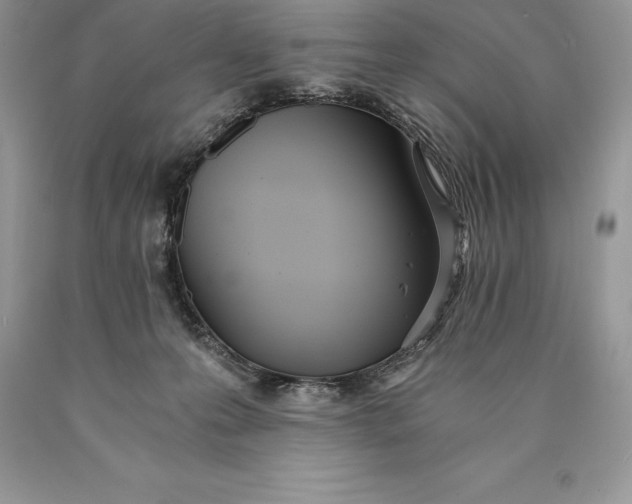 X0000089930223200707201847