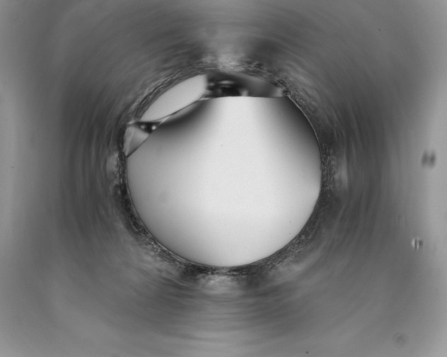 X0000089930224200707201847