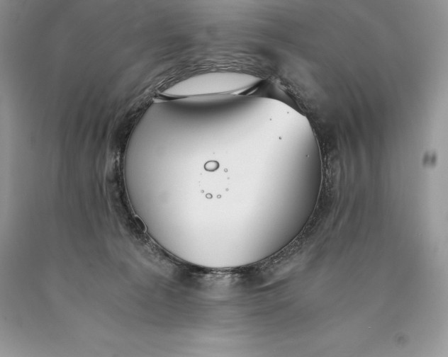 X0000089930225200707201847