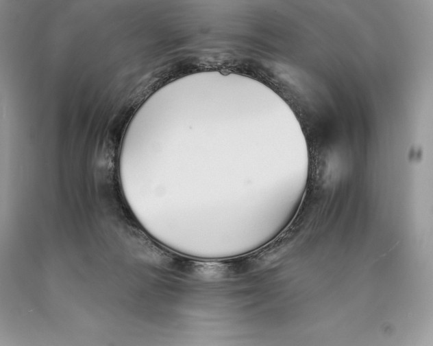 X0000089930226200707201847