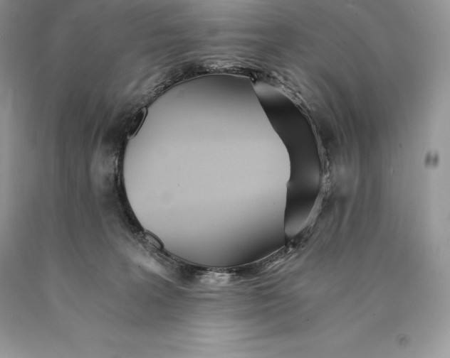 X0000089930227200707201847