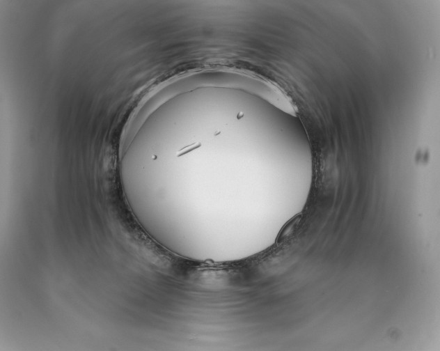 X0000089930228200707201847