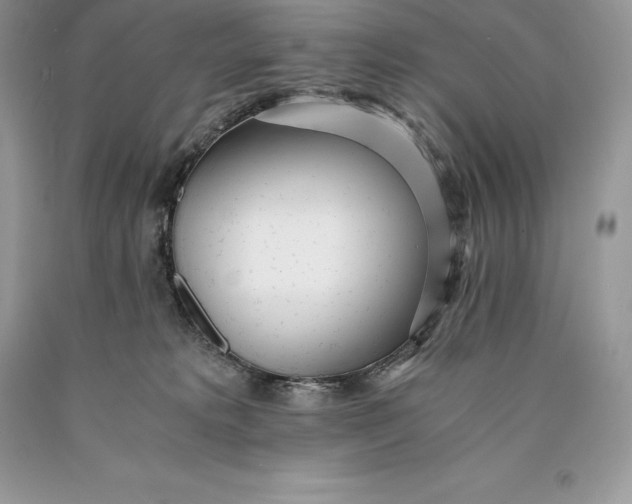 X0000089930229200707201847