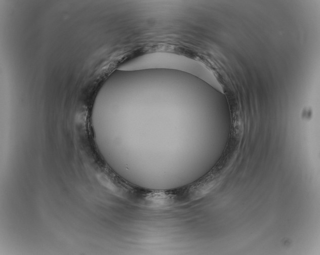 X0000089930231200707201847