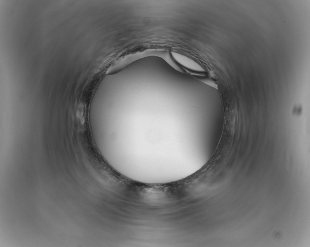 X0000089930232200707201847