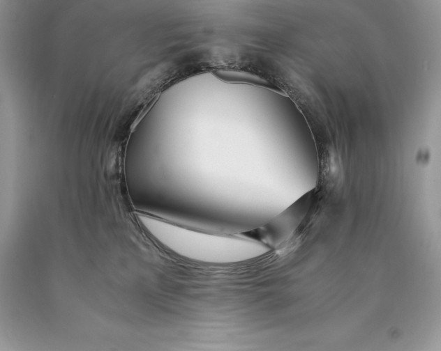 X0000089930233200707201847