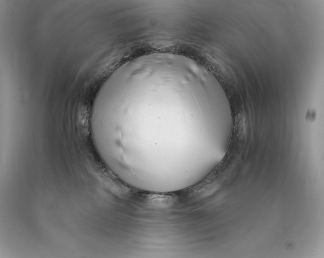 X0000089930234200707201847