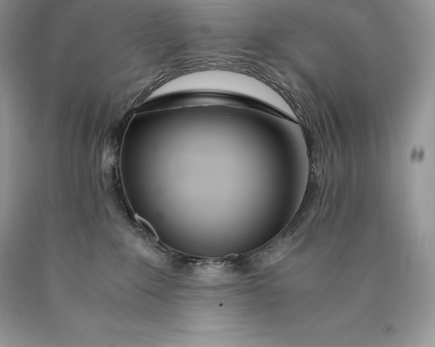 X0000089930235200707201847