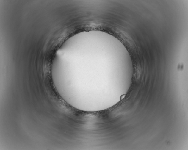 X0000089930236200707201847