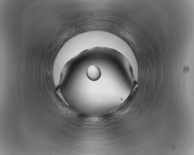 X0000089930237200707201847