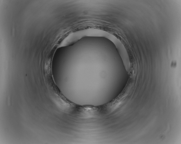 X0000089930239200707201847