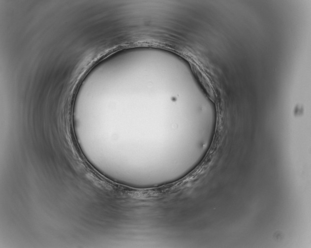 X0000089930241200707201846