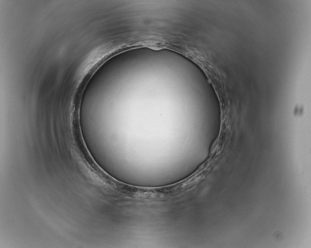 X0000089930242200707201846